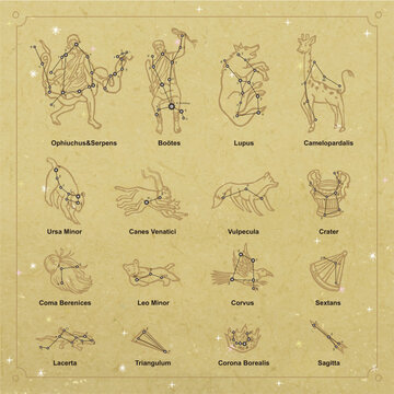 Vector constellation collection linocut style Ophiuchus Serpens Bootes Lupus Camelopardalis UrsaMinor CanesVenatici Vulpecula Crater ComaBerenices LeoMinor Corvus Sextans Lacerta Triangulum