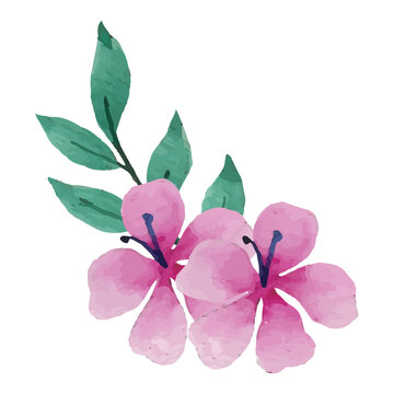 Flower Bouquet Clip art Element Transparent Background
