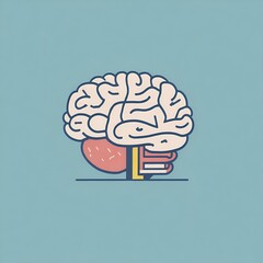 An illustration of brain