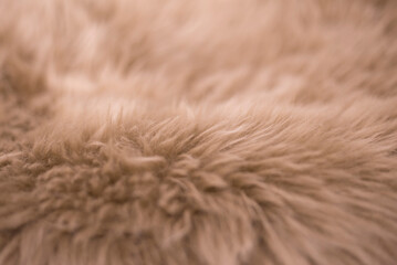 close up of fur texture