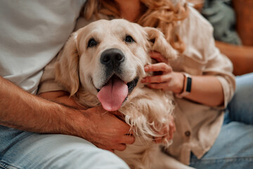 Couple with dog at home - obrazy, fototapety, plakaty