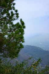 High angle view of mountains behind the pinus merkusli tree
