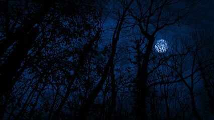 POV Scary Woods With Moon And Lightning Strikes