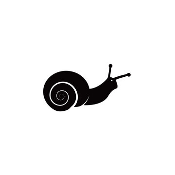 recommend clip art: snail silhouette logo icon designs vector