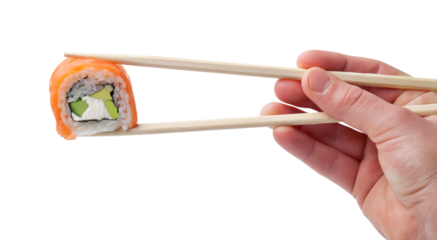 Maki Sushi isolated 