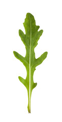 Fresh arugula on transparent background. png file