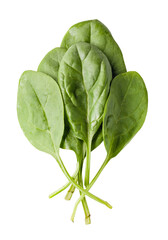 spinach isolated 