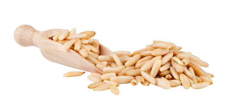 wooden scoop with pine nuts on transparent background. png file