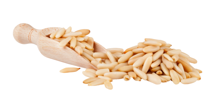 wooden scoop with pine nuts on transparent background. png file