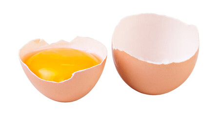 eggs isolated 