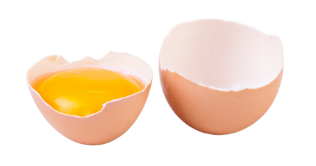 eggs isolated 