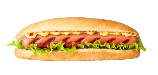 Hot dog isolated 
