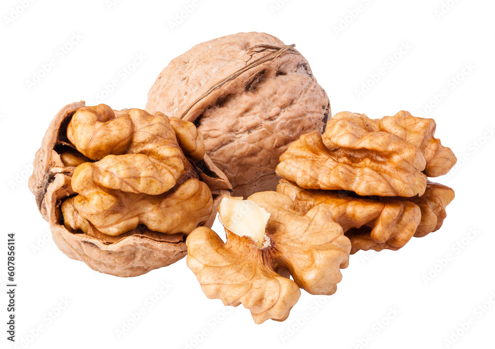 Canvas Prints walnuts isolated 