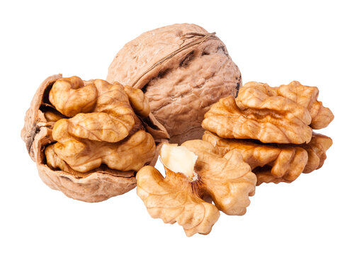walnuts isolated 