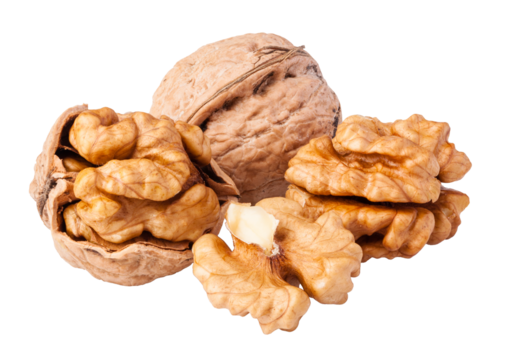 walnuts isolated 