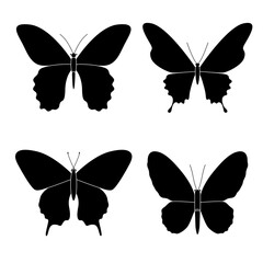 Vector set of black different silhouettes of butterflies with beautiful wings on a white background