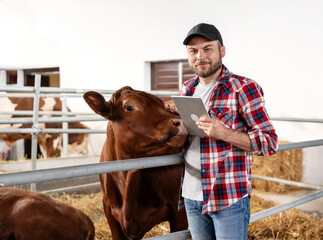 Portrait young adult livestock farmer and cow in cowshed at ranch.