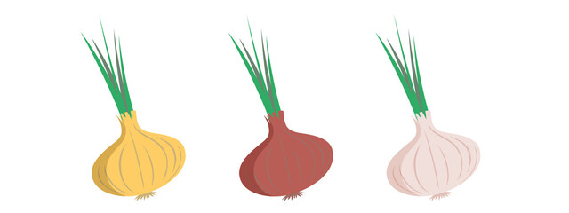 Varieties of onions. Delicious and healthy vegetable used in food. A root vegetable that is prepared as a seasoning. Vector illustration isolated on a white background for design and web.