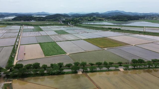 모내기철을 맞이한 바둑판 모양의 논에 물을 대고 흙을 갈아엎는 농기계