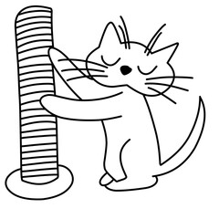 Cute Playful Kitten