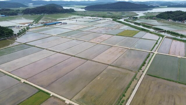 모내기철을 맞이한 바둑판 모양의 논에 물을 대고 흙을 갈아엎는 농기계