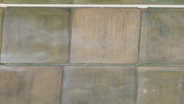 모내기철을 맞이한 바둑판 모양의 논에 물을 대고 흙을 갈아엎는 농기계