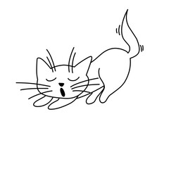Fototapeta premium Cute Playful Kitten