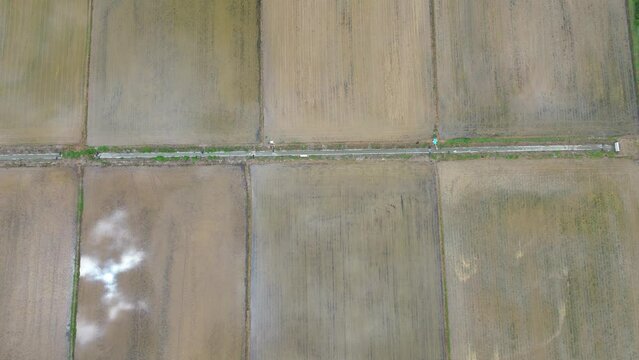 모내기철을 맞이한 바둑판 모양의 논에 물을 대고 흙을 갈아엎는 농기계