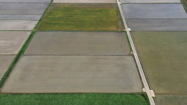 모내기철을 맞이한 바둑판 모양의 논에 물을 대고 흙을 갈아엎는 농기계