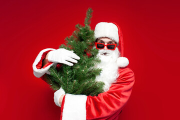 santa claus in suit holds artificial Christmas tree on red background, man carries and hugs traditional tree