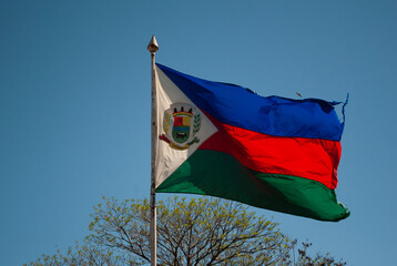 Flamula Tupanciretanense