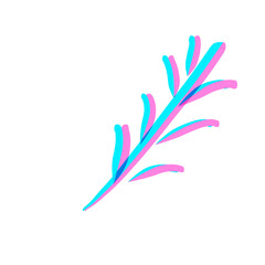 feather on white background