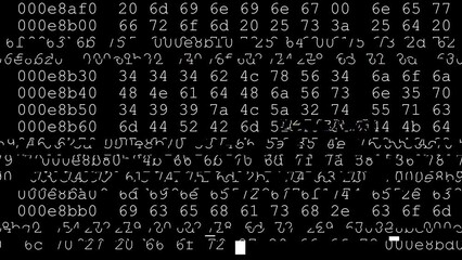 Server failure. A chaotic flickering of white numbers on a black screen indicates that the information has been corrupted.