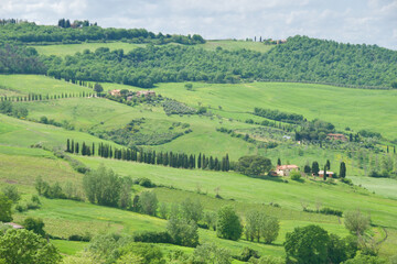 Fototapeta na wymiar Beautiful scenic landscape with trees and mountains in Tuscany, Italy