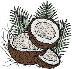 Coconuts with palm leaves, png. file