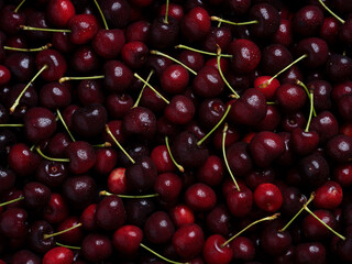 Fresh and ripe cherries. Image of delicious cherries with water droplets on it. Red summer fruits, Fruit background