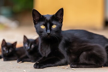 black cat with newborn litter of kittens, created with generative ai