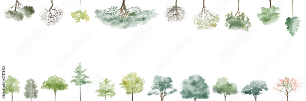 Poster banner, tree watercolor vector illustration, minimal style tree painting hand drawn, side view, set 