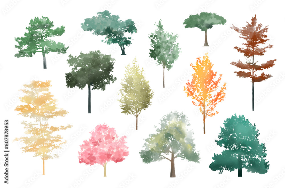 Aufkleber tree watercolor vector illustration, minimal style tree painting hand drawn, side view, set of graph