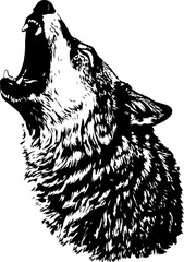 Vector iIllustration of howling wolf in engraved style.