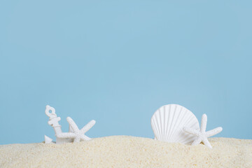 Fototapeta na wymiar Summer time concept with sea shells and starfish on the sand, blue background with copy space, podium for cosmetic products