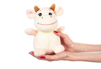 Obraz na płótnie Canvas Soft toy cow in hand isolated on white background