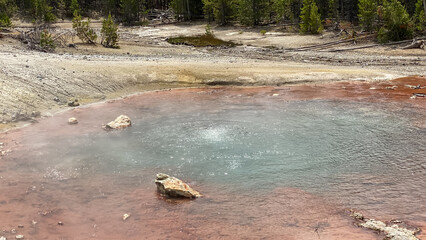 Echinus Geyser in Norris Geyser Basin in Yellowstone National Park