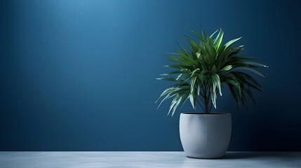 plant in a blue vase