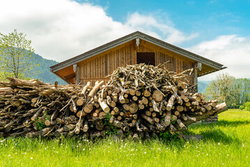 Logs lie on the grass near the barn