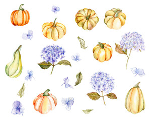 Fall set with blue hydrangea and pumpkins. For cards, backgrounds. Watercolor illustration for scrapbooking. Perfect for wedding invitation.