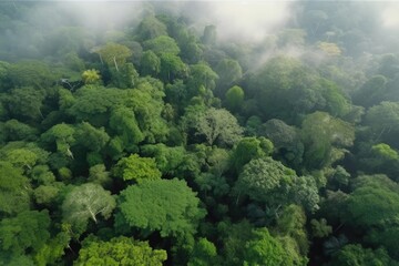 Fototapeta na wymiar drone flies over rainforest canopy, with views of majestic trees and exotic wildlife, created with generative ai