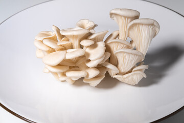 mushrooms on a plate