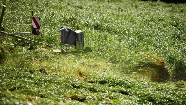 Summer meadow with tractor chopping grass 