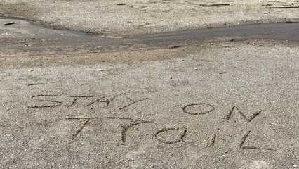Norris Geyser Basin in Yellowstone National Park